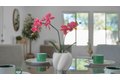 Additional image 15 of 2582 Tosca Way, San Jose, CA, 95121