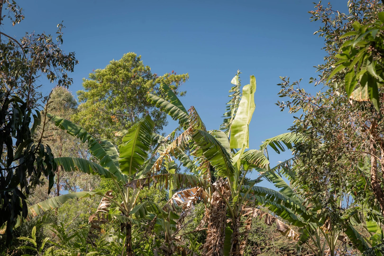 Additional image 10 of 15B Blue Hills Drive, Bunya QLD 4055