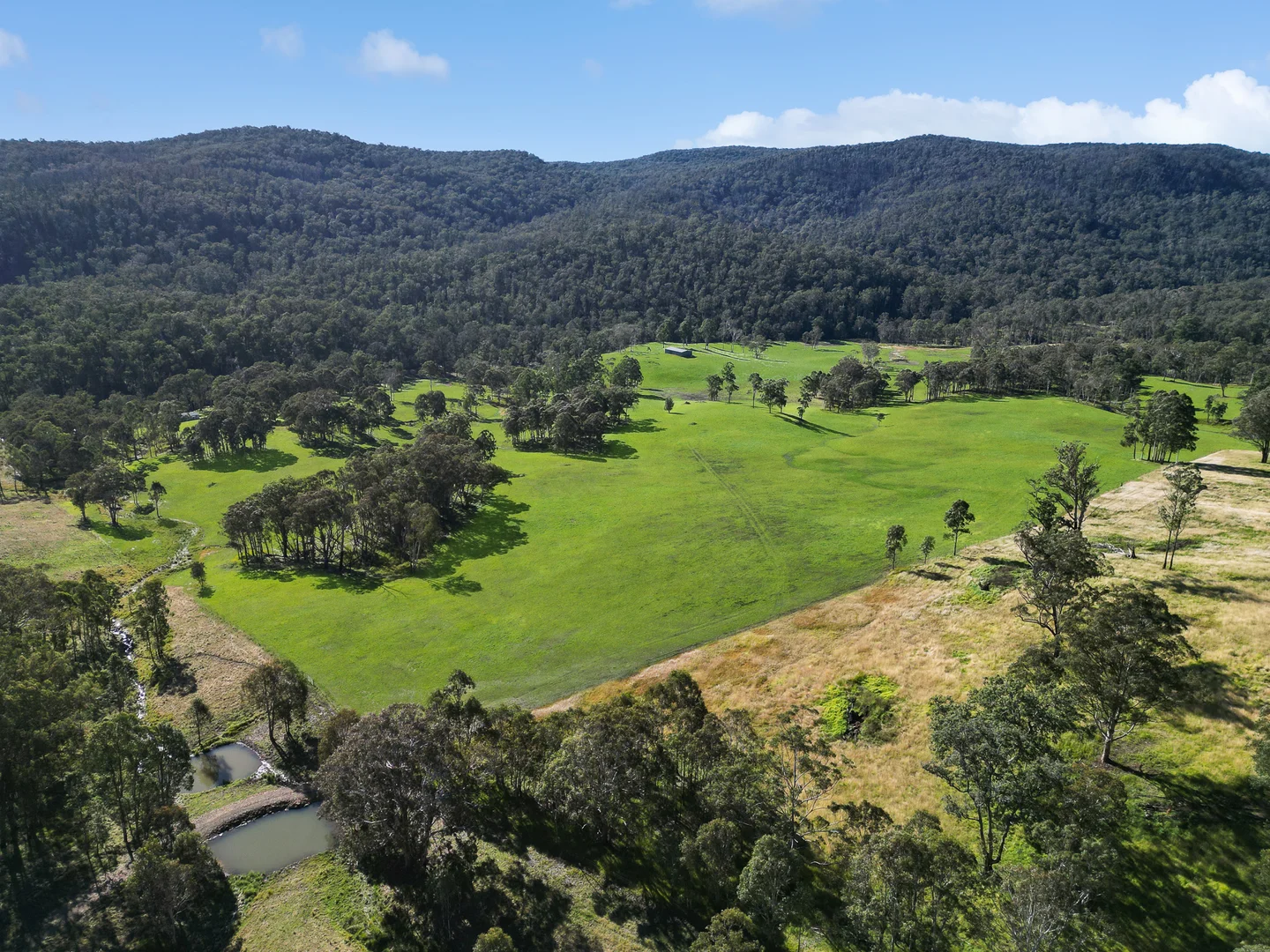 Additional image 3 of Nowendoc NSW 2354