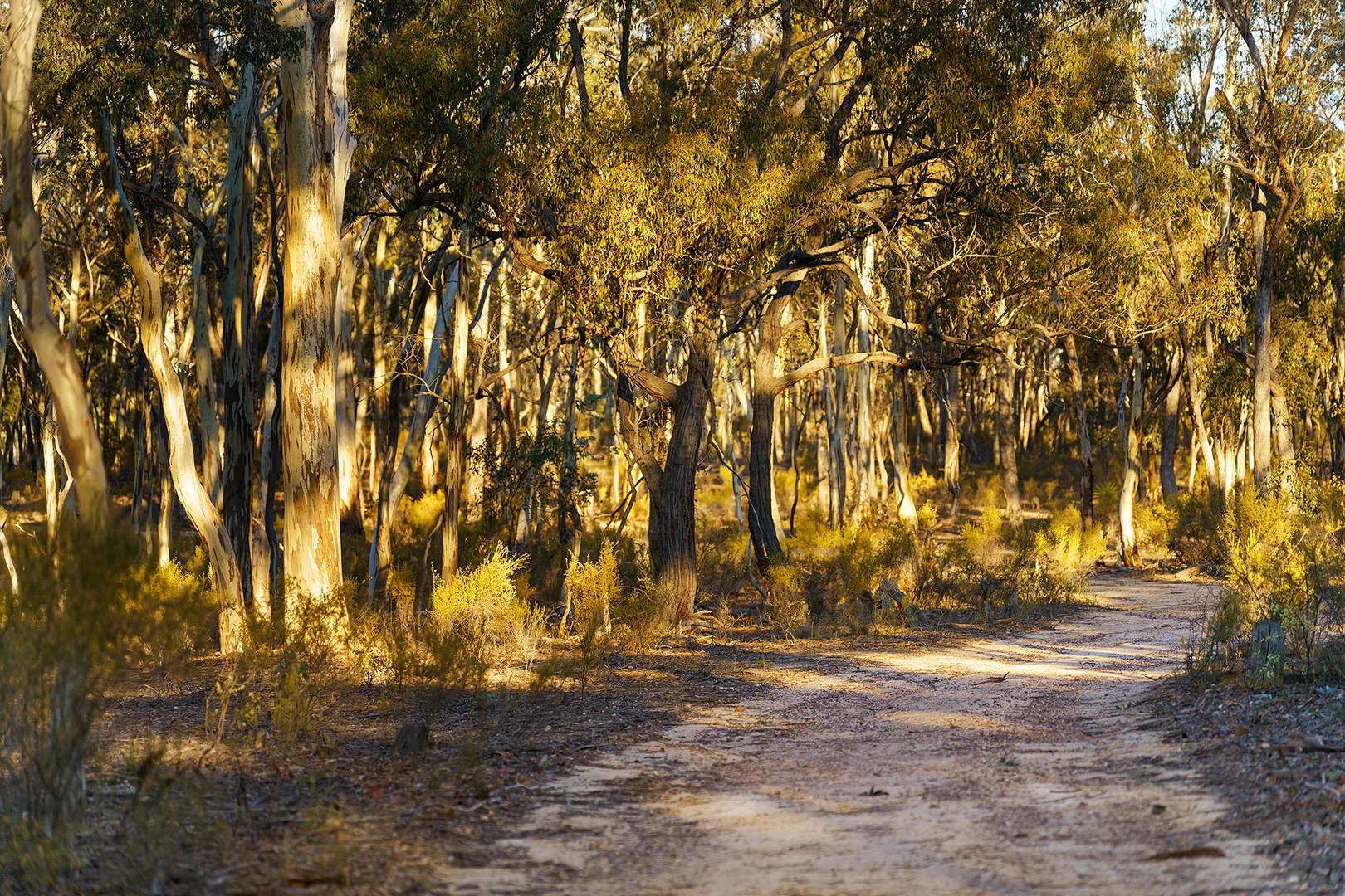 Additional image 5 of 141 Sinclairs Lane, Walmer VIC 3463