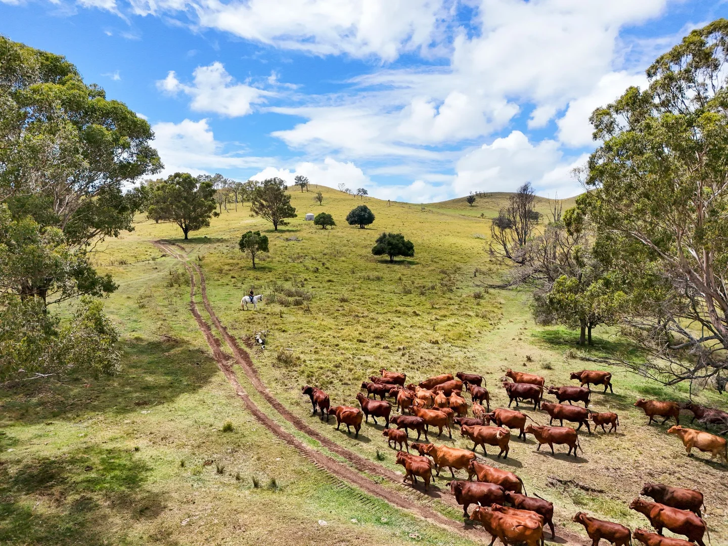 Additional image 5 of "PARADISE" 256 Paradise Road, Mount Sylvia QLD 4343