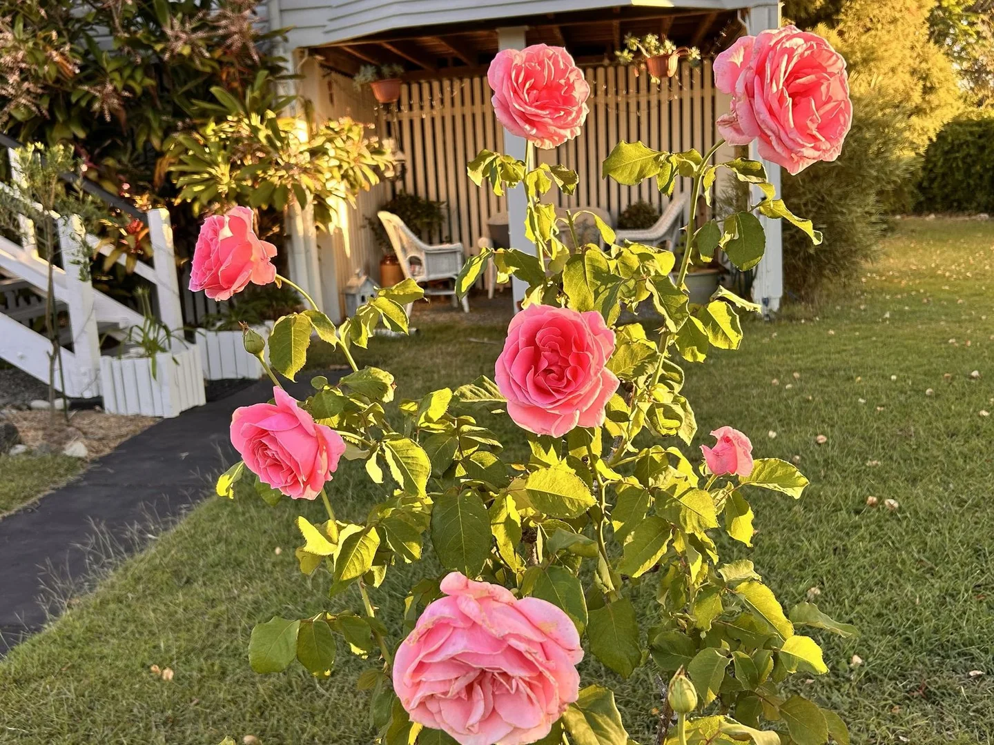 Additional image 25 of 6 Alfred Street, Biggenden QLD 4621