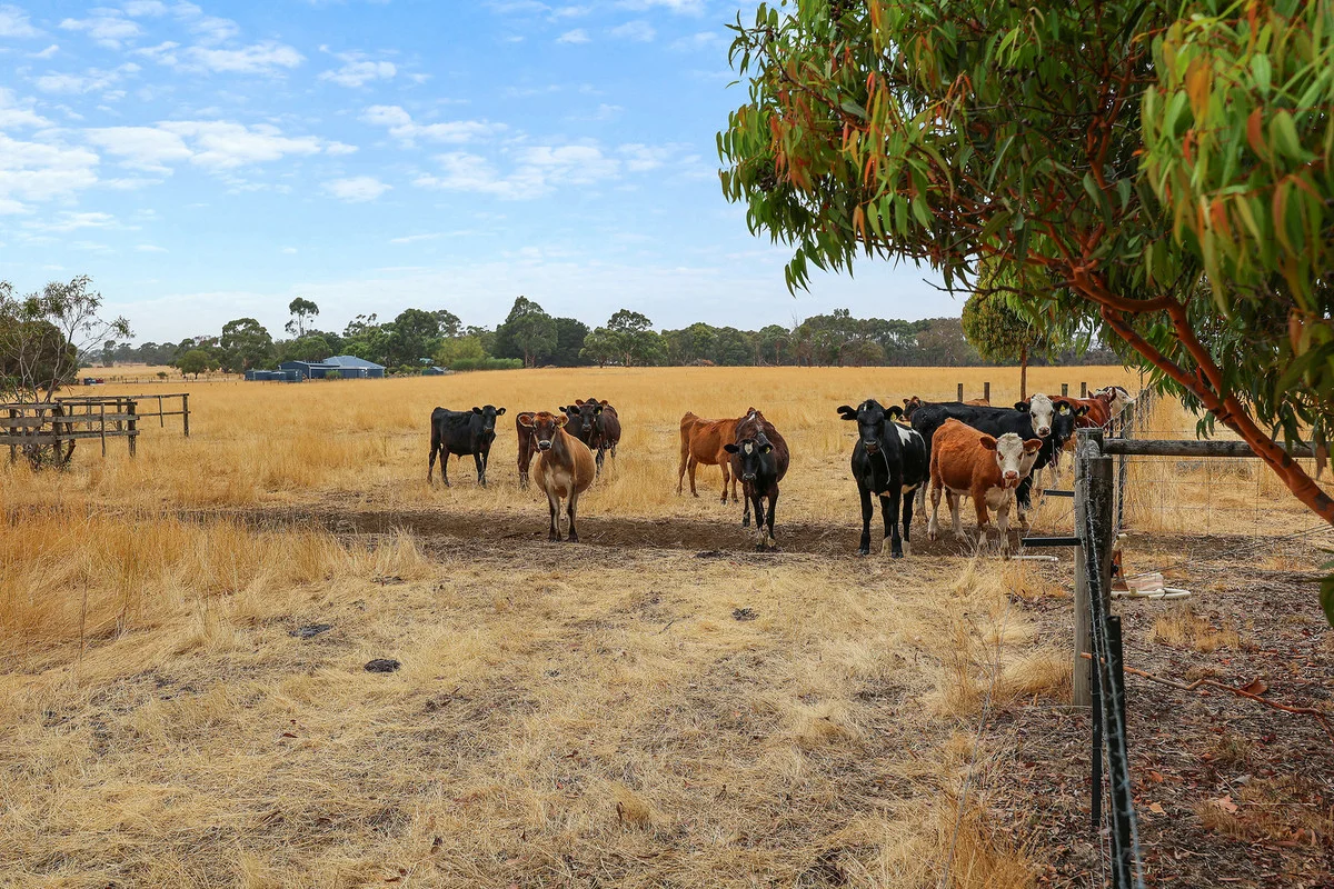 Additional image 23 of 480 Henty Highway, Hamilton VIC 3300