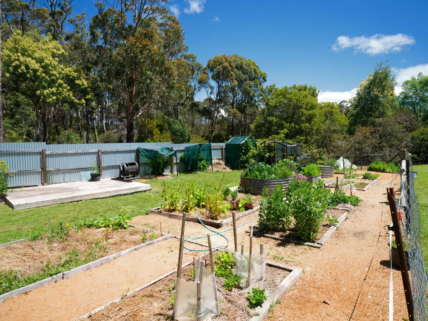 Additional image 18 of 136 Christmas Hills Road, Elizabeth Town TAS 7304