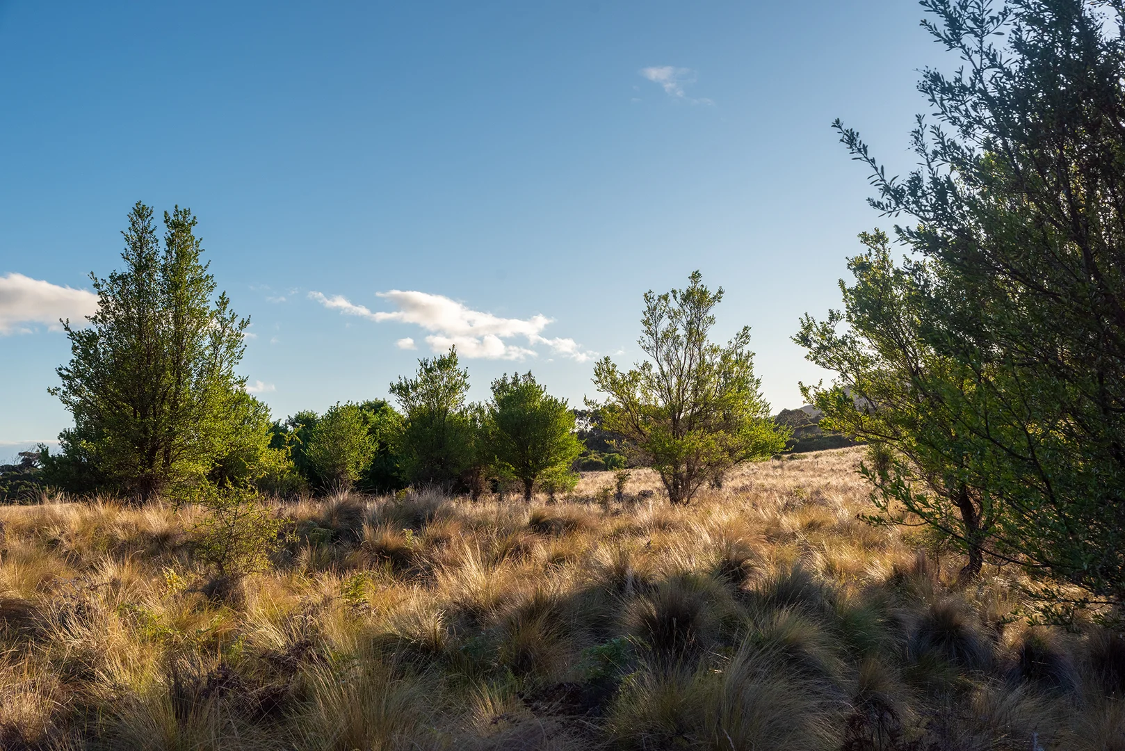 Additional image 20 of Lot 3 Boat Harbour Road, Killiecrankie TAS 7255