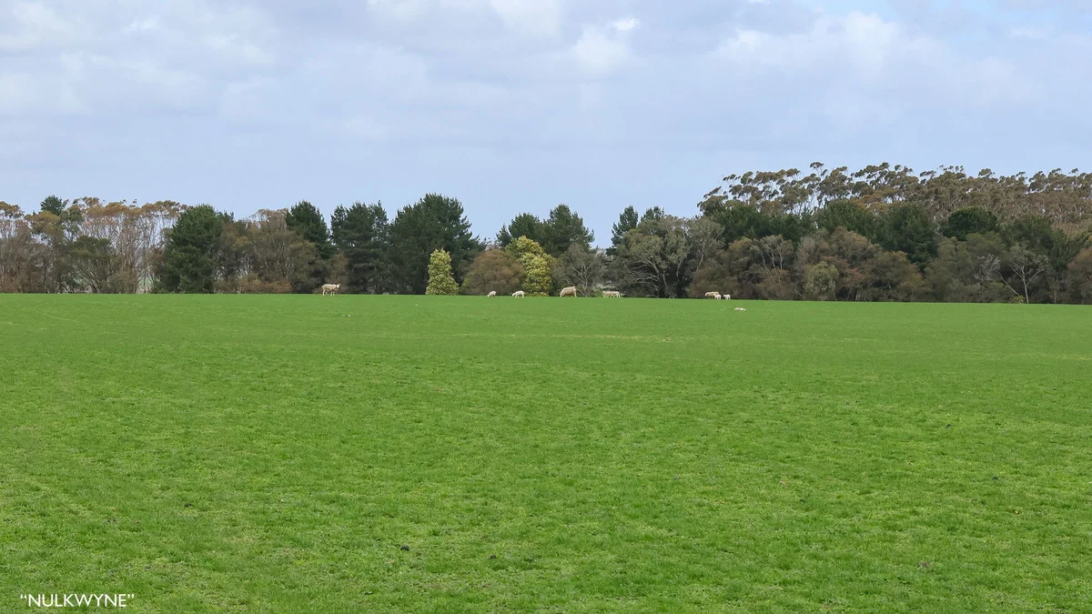 Additional image 6 of 3960 Dartmoor-Hamilton Road, Grassdale VIC 3302