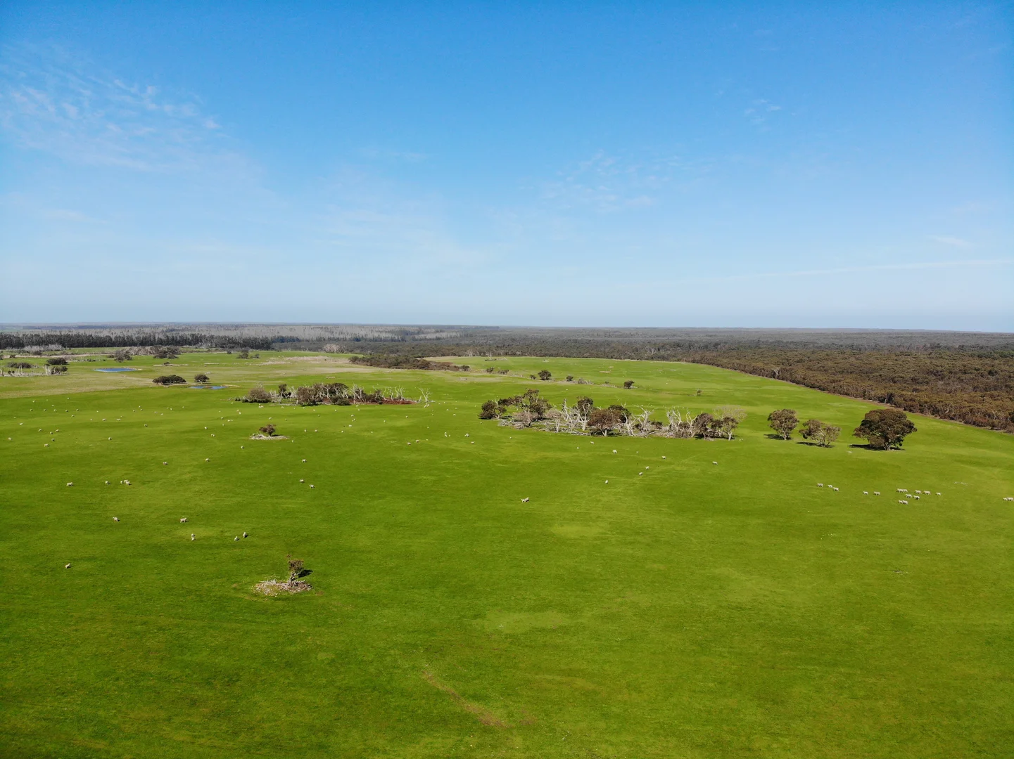 Additional image 6 of 105 Colmans Road, Western River SA 5223