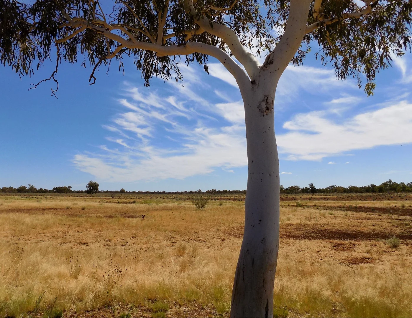 Additional image 13 of West Lyons River WA 6705