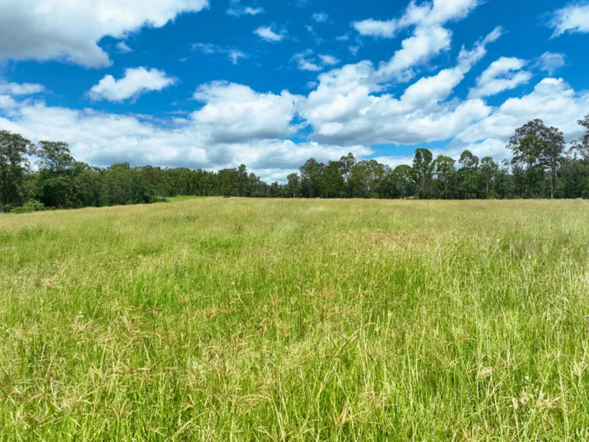 Additional image 15 of Paddy's Flat Road, Tabulam NSW 2469