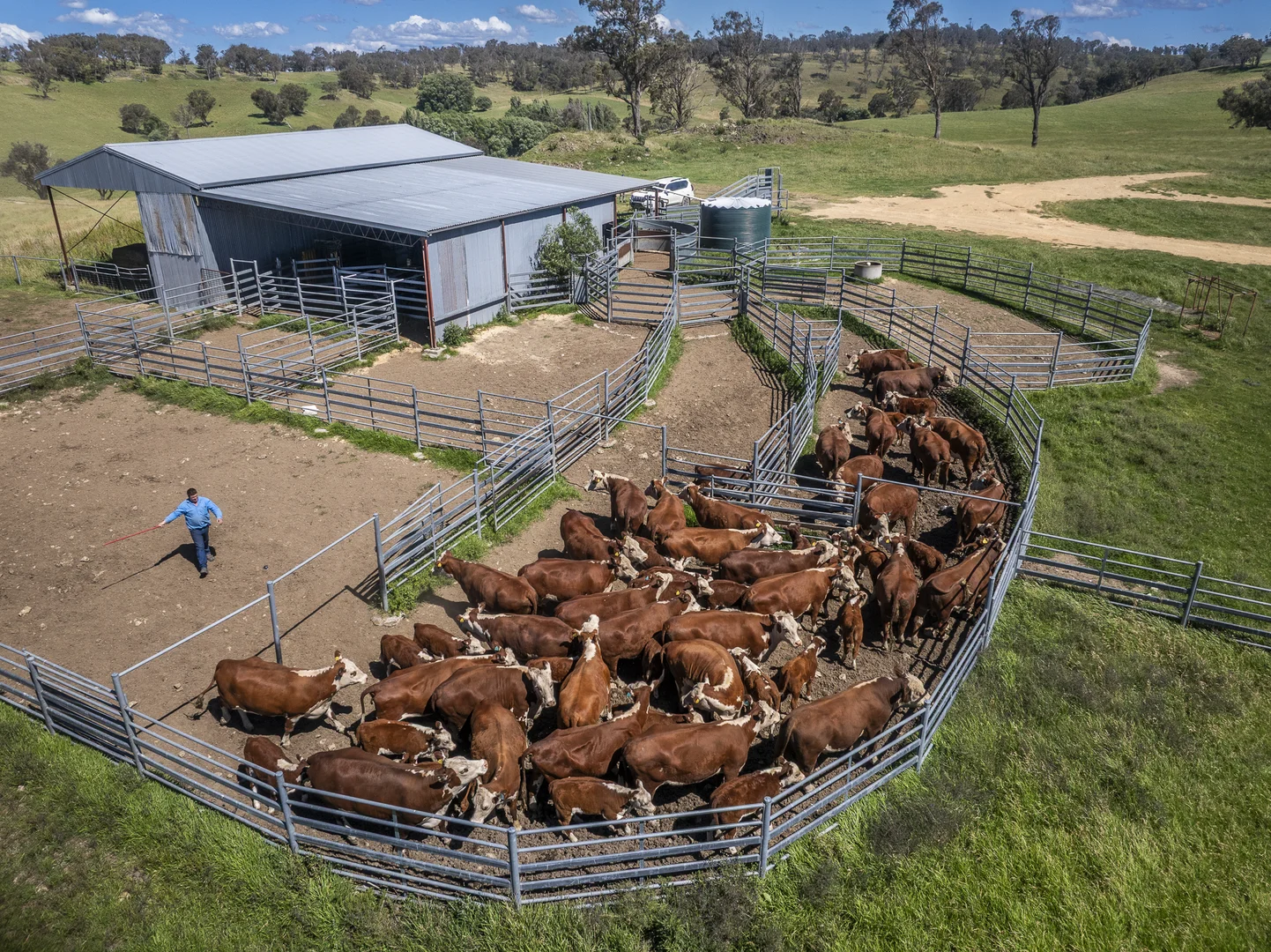 Additional image 22 of 338 Fishington Road, Wongwibinda NSW 2350