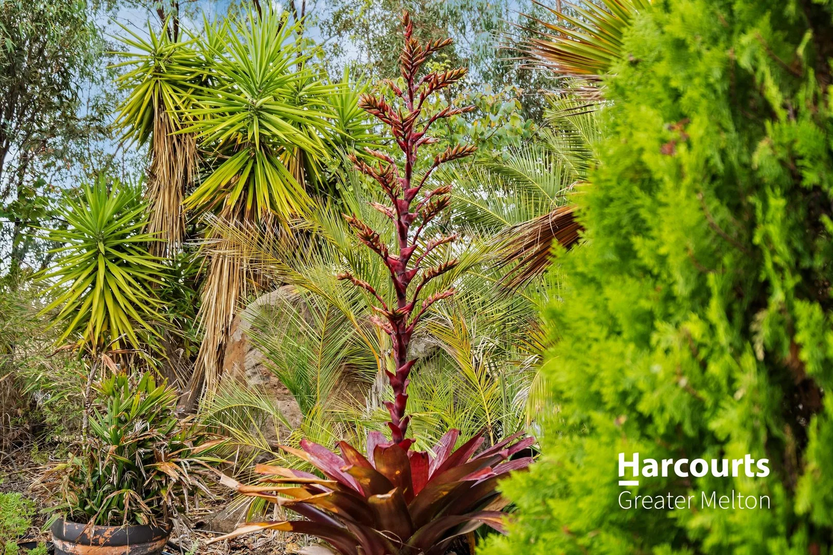 Additional image 3 of 50 Riverview Drive, Hopetoun Park VIC 3340