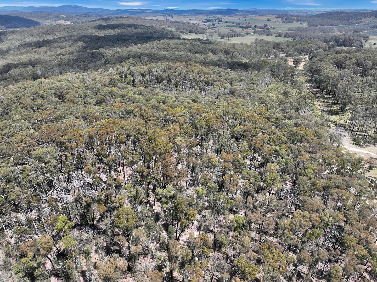 Additional image 28 of Lot 51 Tantawangalo Mountain Road, Cathcart NSW 2632