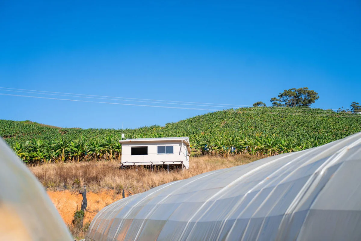 Additional image 4 of 20 Puhos Road, Sandy Beach NSW 2456