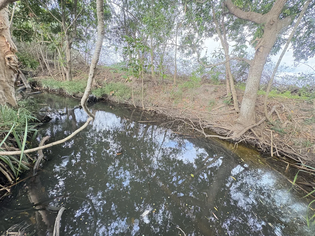 Additional image 15 of 2 Oakenden Sarina Road, Oakenden QLD 4741