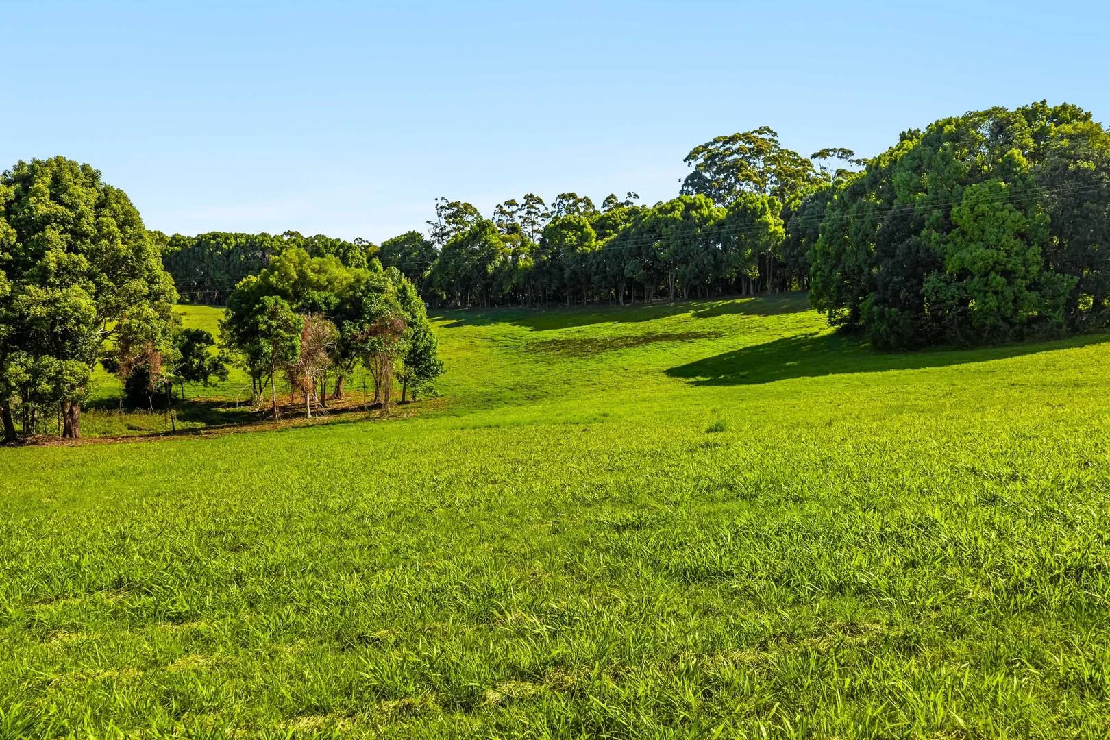 Additional image 14 of 217 Goonengerry Mill Road, Goonengerry NSW 2482