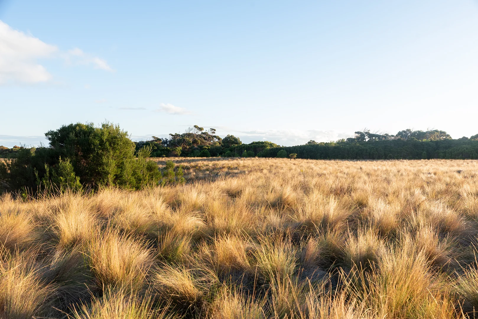 Additional image 16 of Lot 3 Boat Harbour Road, Killiecrankie TAS 7255