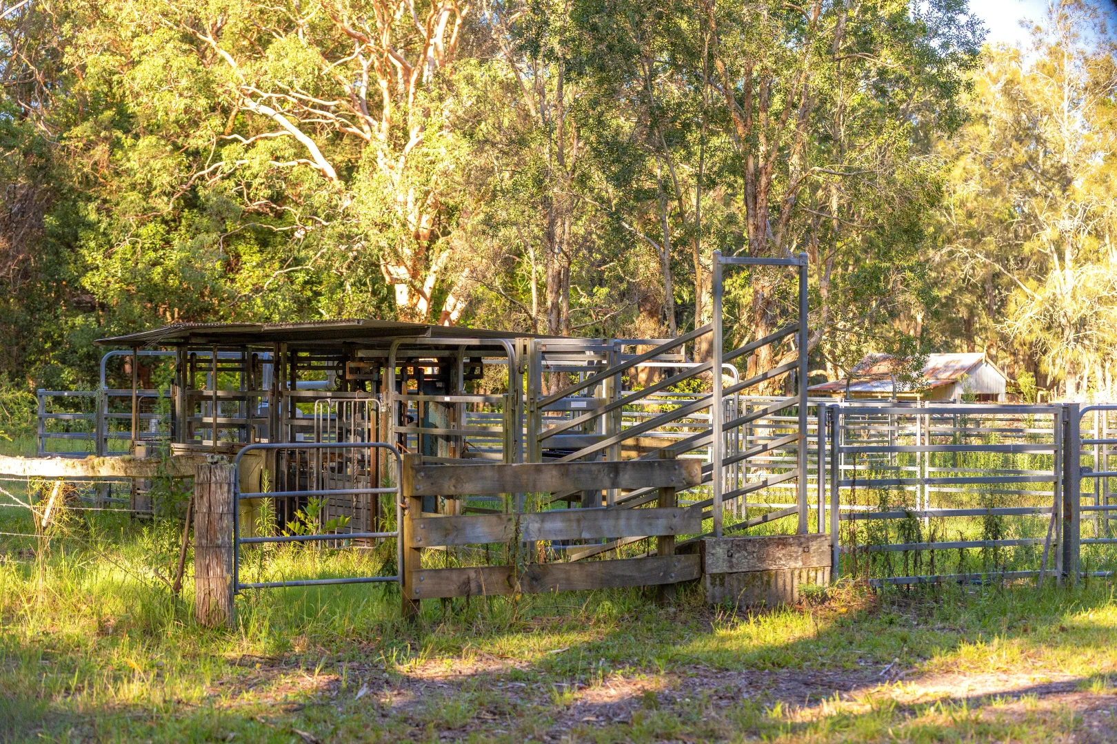 Additional image 21 of 183 Beach Road, Mitchells Island NSW 2430