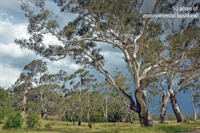 Additional image 5 of Lot 53 Woodlands Estate, Kew NSW 2439