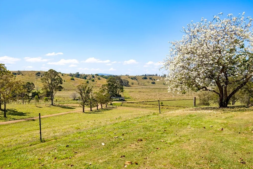 Additional image 11 of 93 Ellems Road, Kyogle NSW 2474