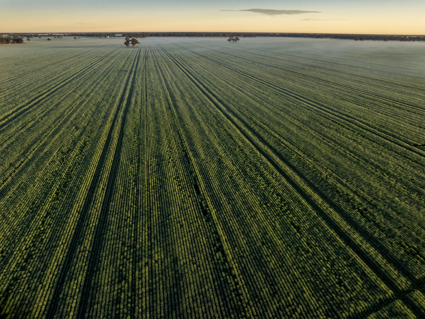 Additional image 9 of Bourbah 2598 Warren Road, Gulargambone NSW 2828