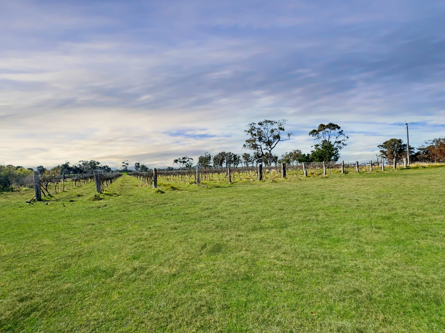 Additional image 17 of 376 Kingstown Road, Uralla NSW 2358