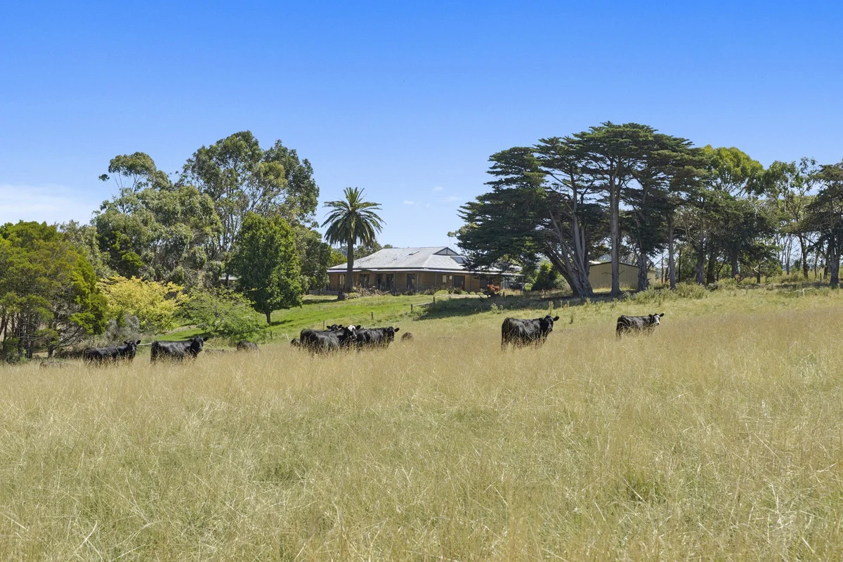 Additional image 5 of 1940 Cobden-Port Campbell Road, Newfield VIC 3268