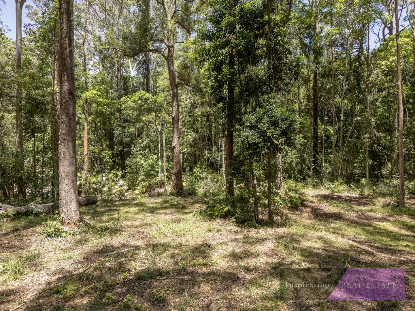 Additional image 6 of Lot 1/774 Grassy Head Drive, Way Way NSW 2447