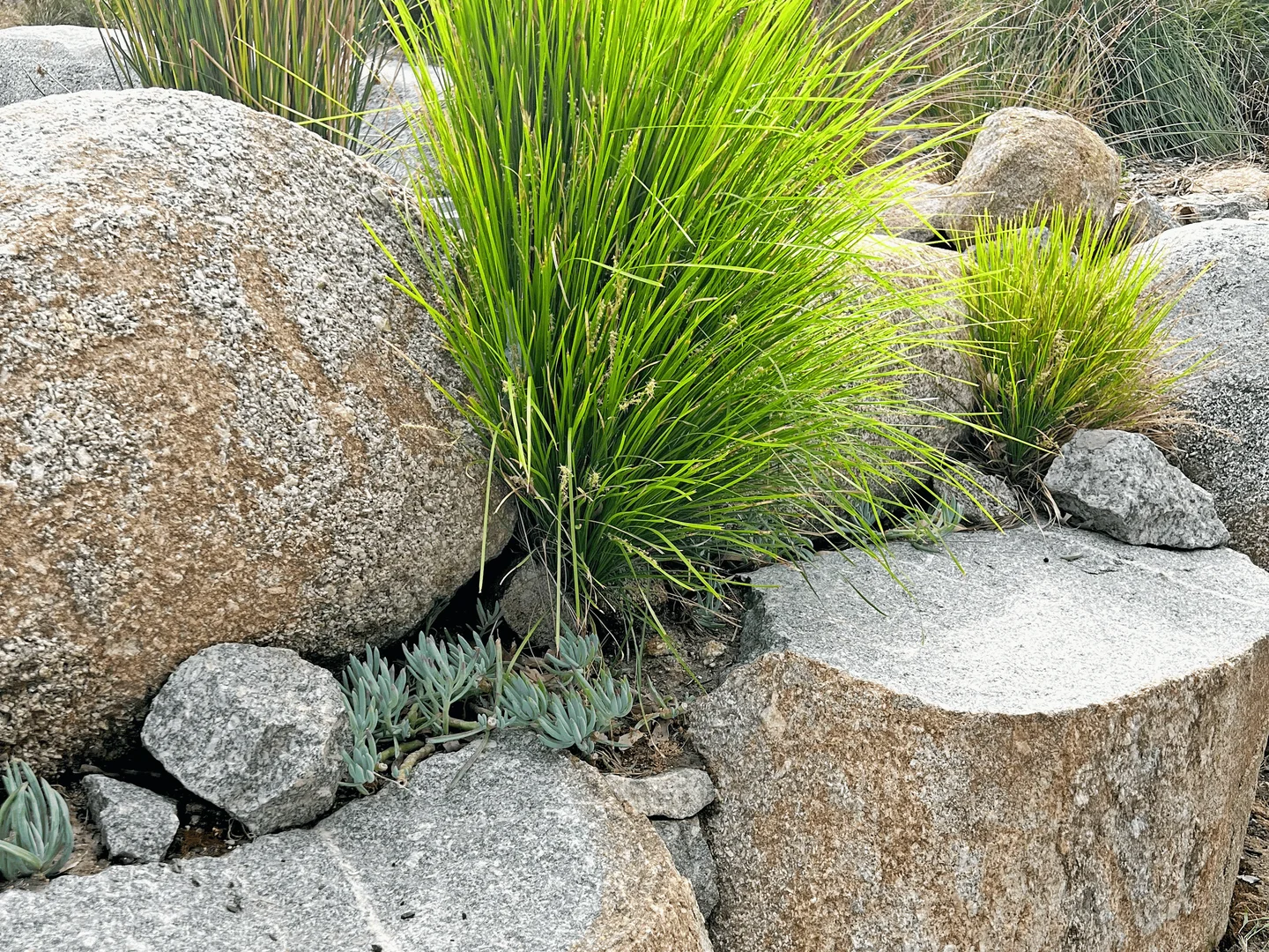 Additional image 28 of 128 Burgoyne Road, Albany WA 6330