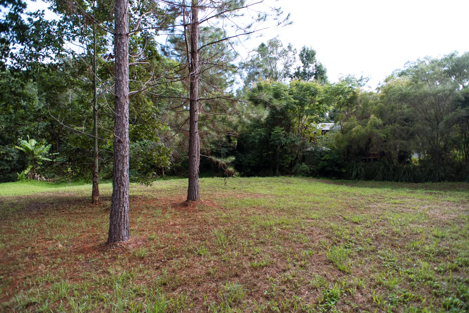 Additional image 15 of 38 Cooloon Street, Kunghur NSW 2484