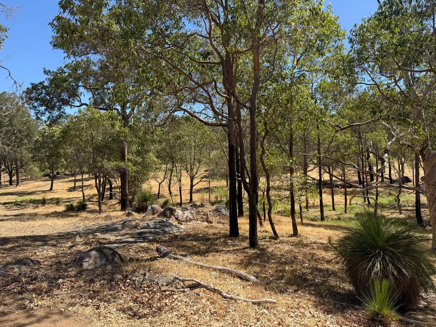 Additional image 10 of 59 Lyons Road, Waroona WA 6215