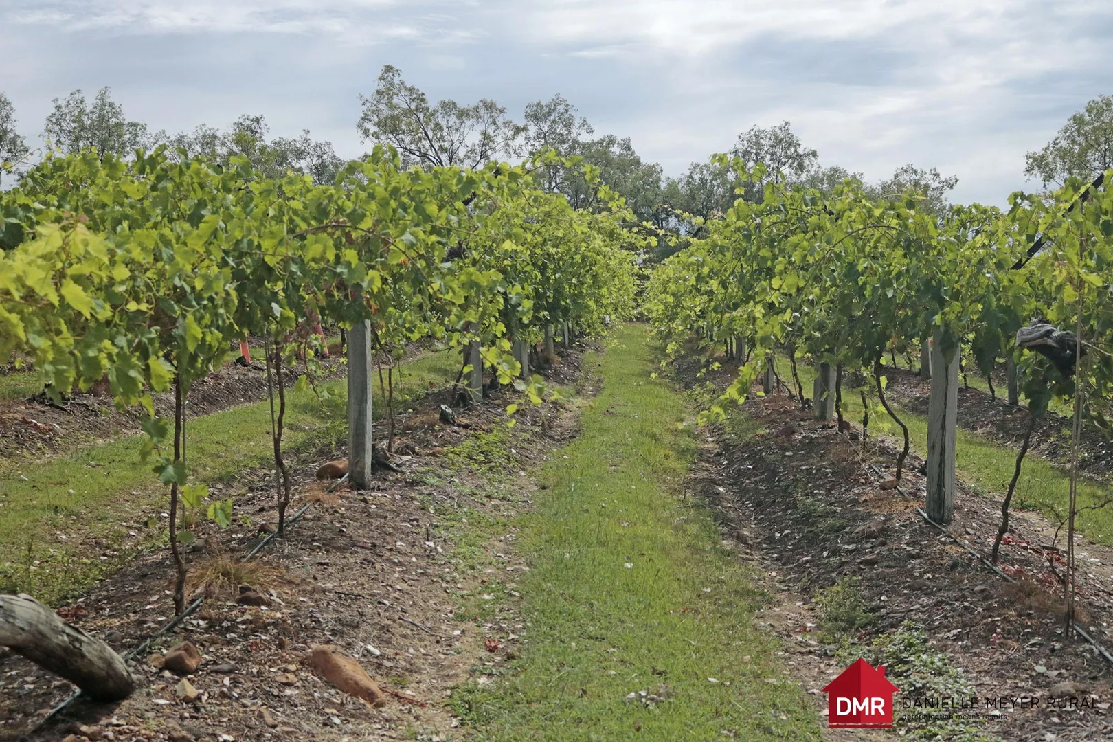 Additional image 20 of 700 Coonambula Road,, Riverleigh QLD 4626