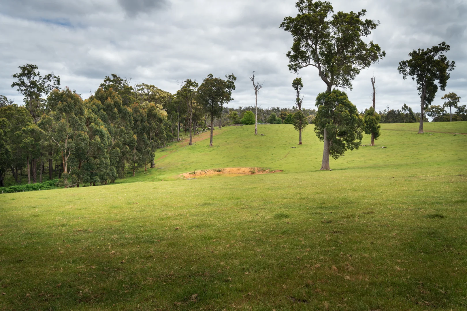 Additional image 3 of Lot 4 Kammann Road (Upper Warren), Manjimup WA 6258