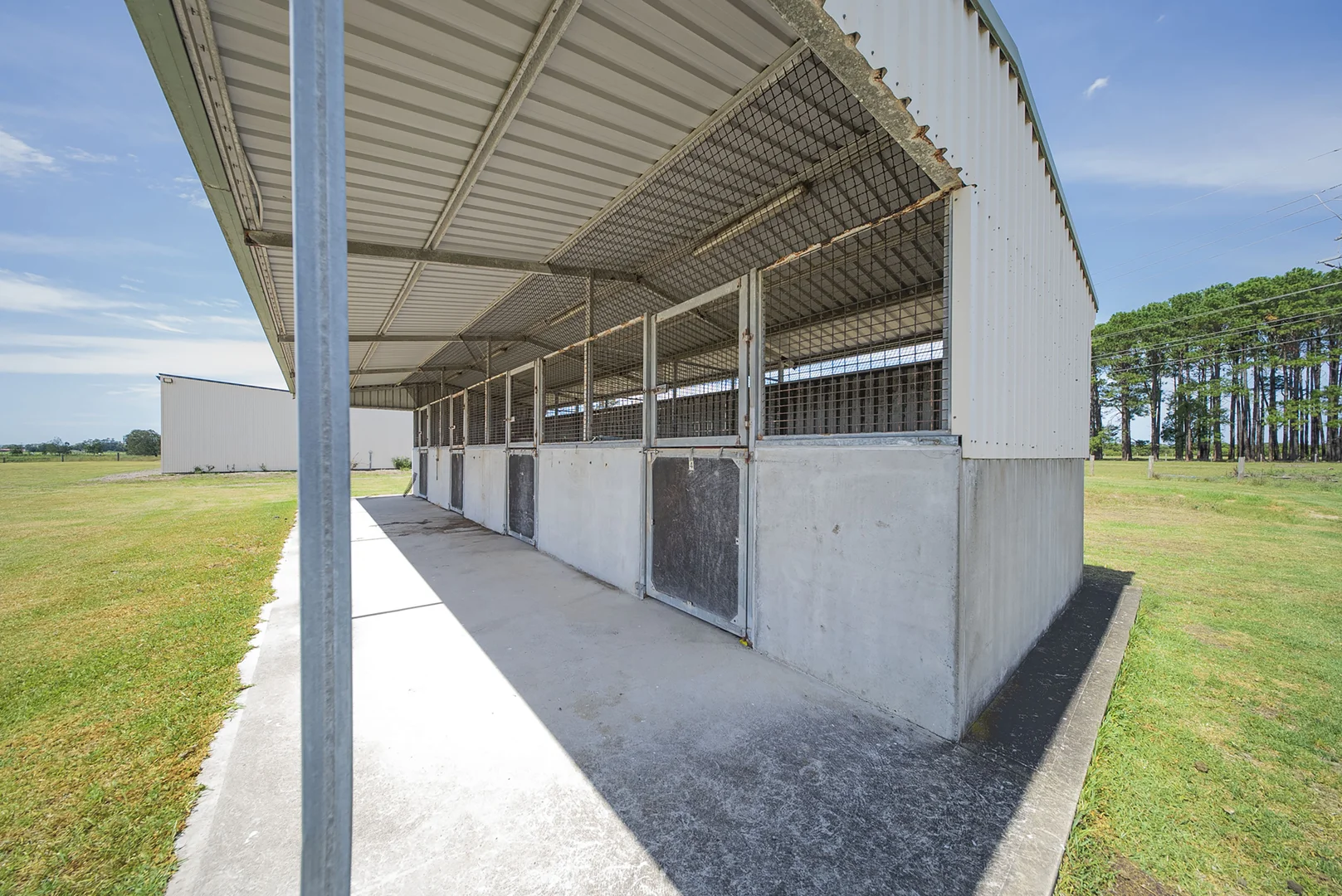 Additional image 4 of 285 Cabbage Tree Road, Williamtown NSW 2318