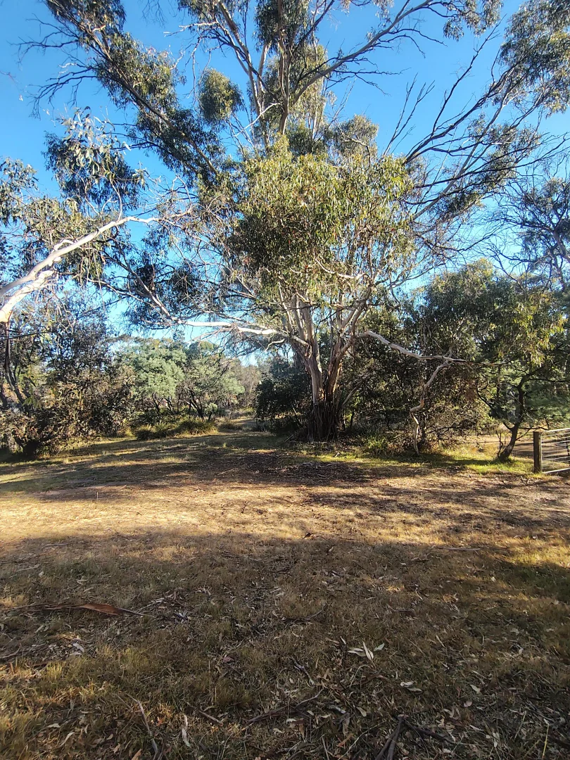 Additional image 7 of 12-14 Church street, Dodges Ferry TAS 7173