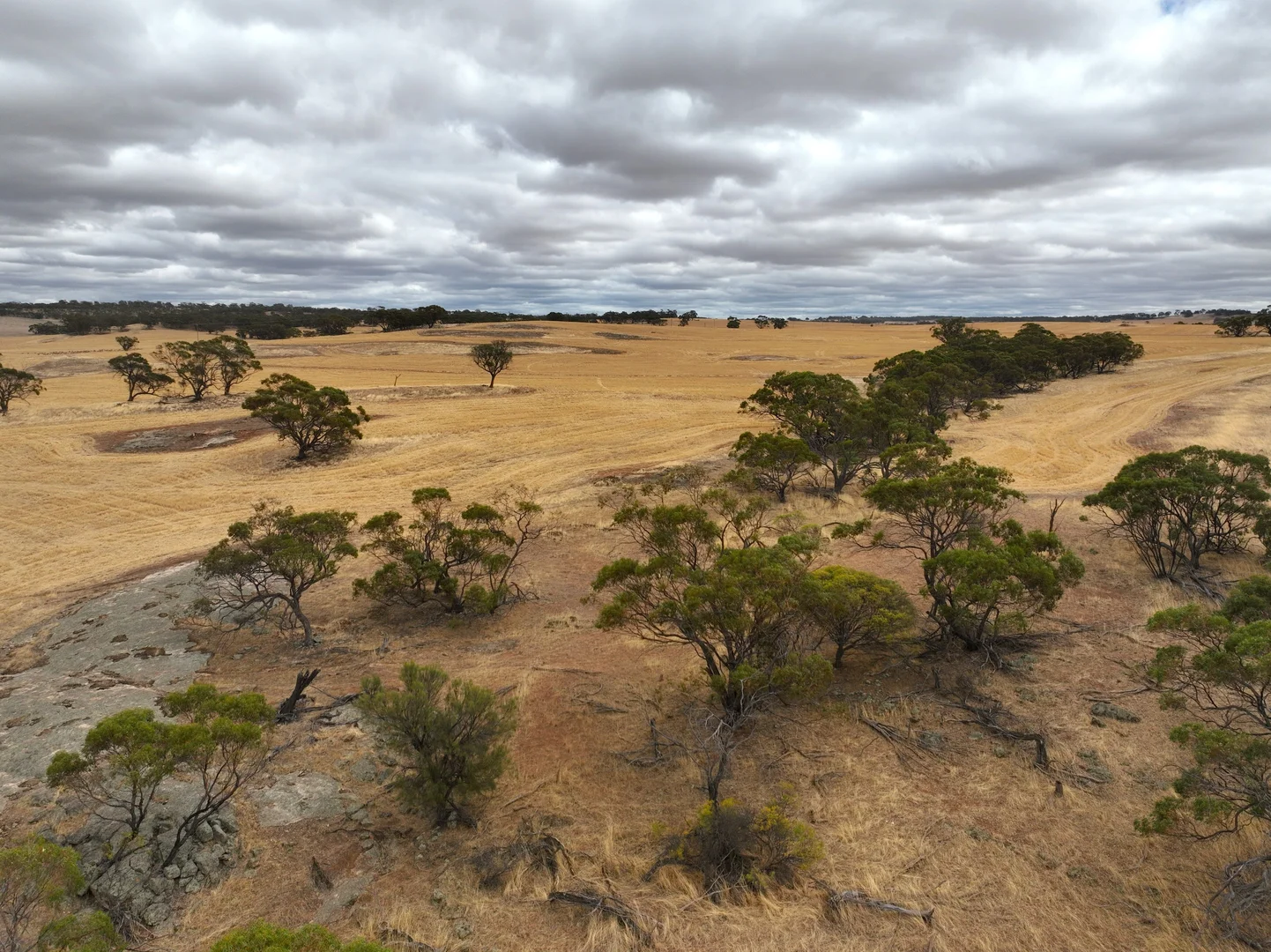 Additional image 8 of LOT/18 Irishtown Road, Buckland WA 6401