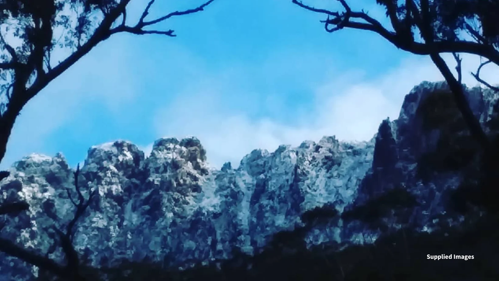 Additional image 56 of 15 Lee Street, Rossarden TAS 7213