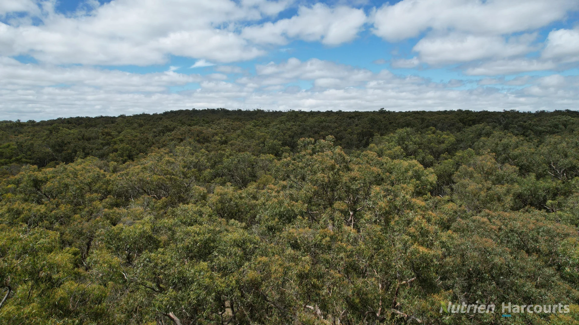 Additional image 3 of "Myamyn West" Myamyn Road, Hotspur VIC 3303