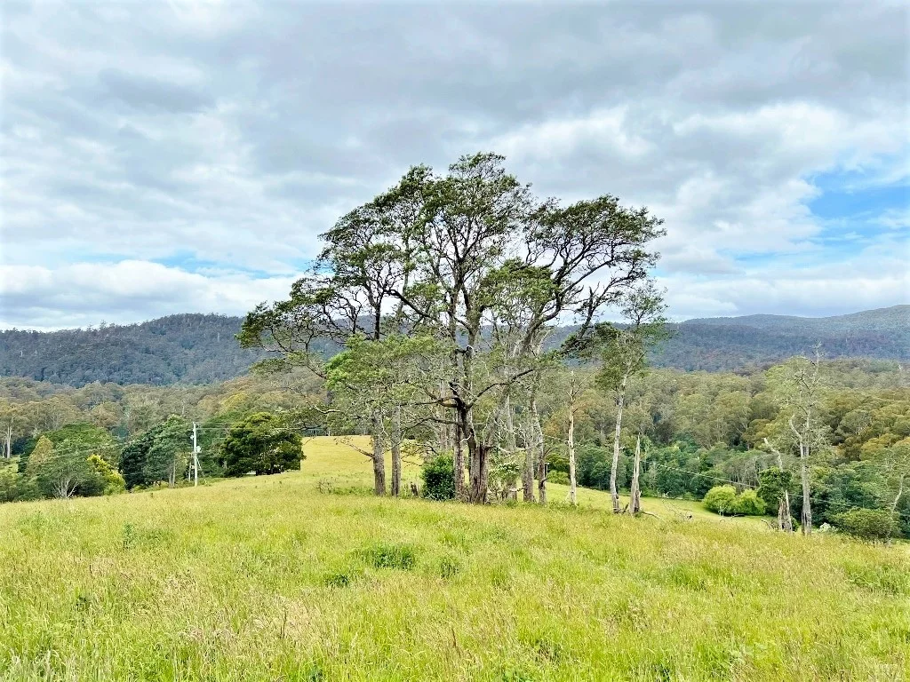 Additional image 7 of Lot 2/Part of 116680 Tasman Highway, Weldborough TAS 7264