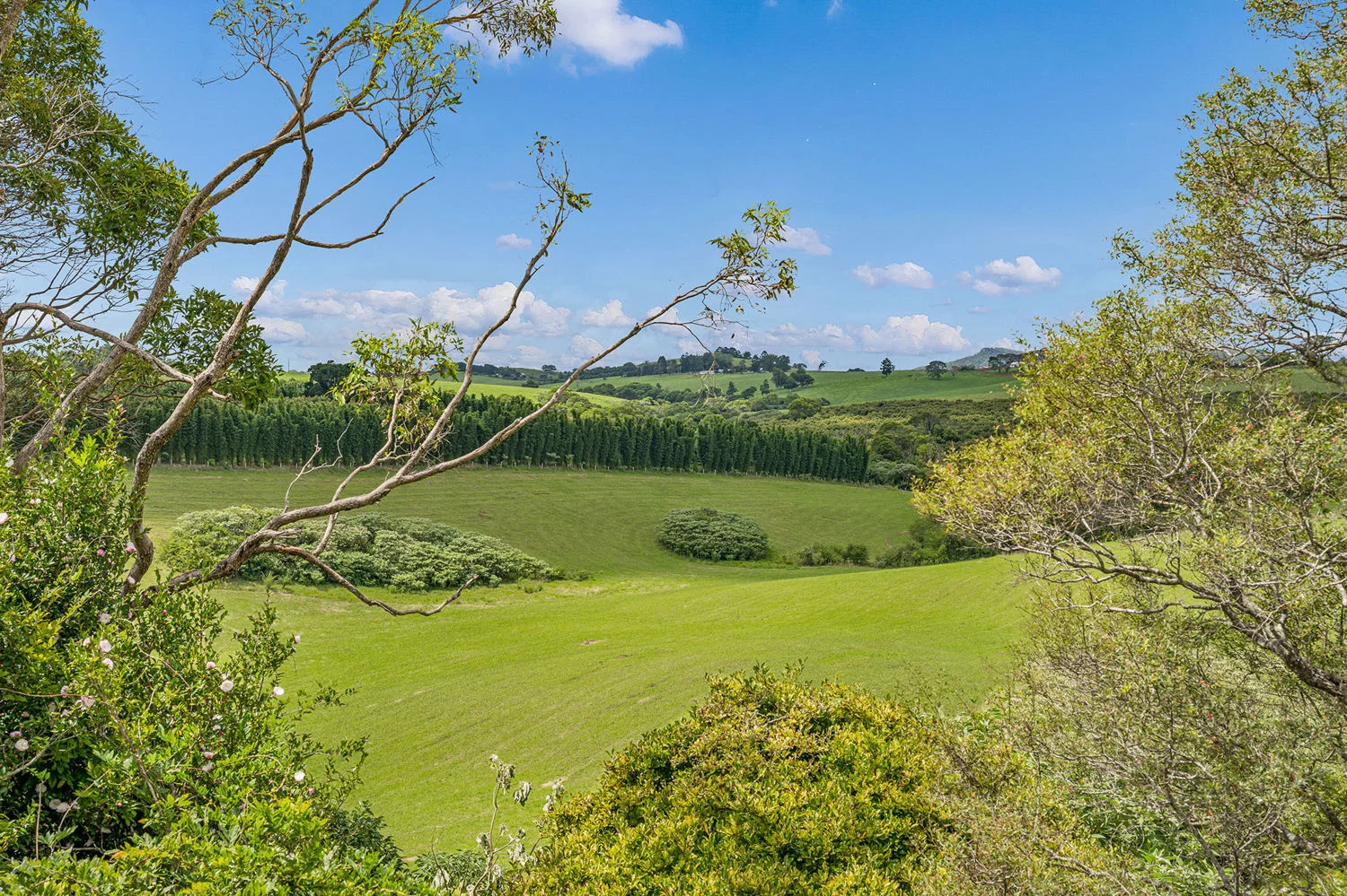 Additional image 28 of 10 Main Street, Comboyne NSW 2429