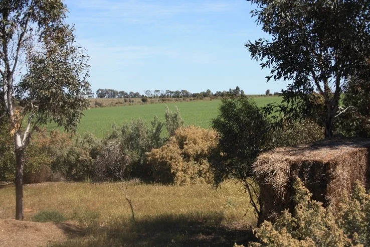 Additional image 7 of Lot 1, 905 Ngallo Road, Carina VIC 3512