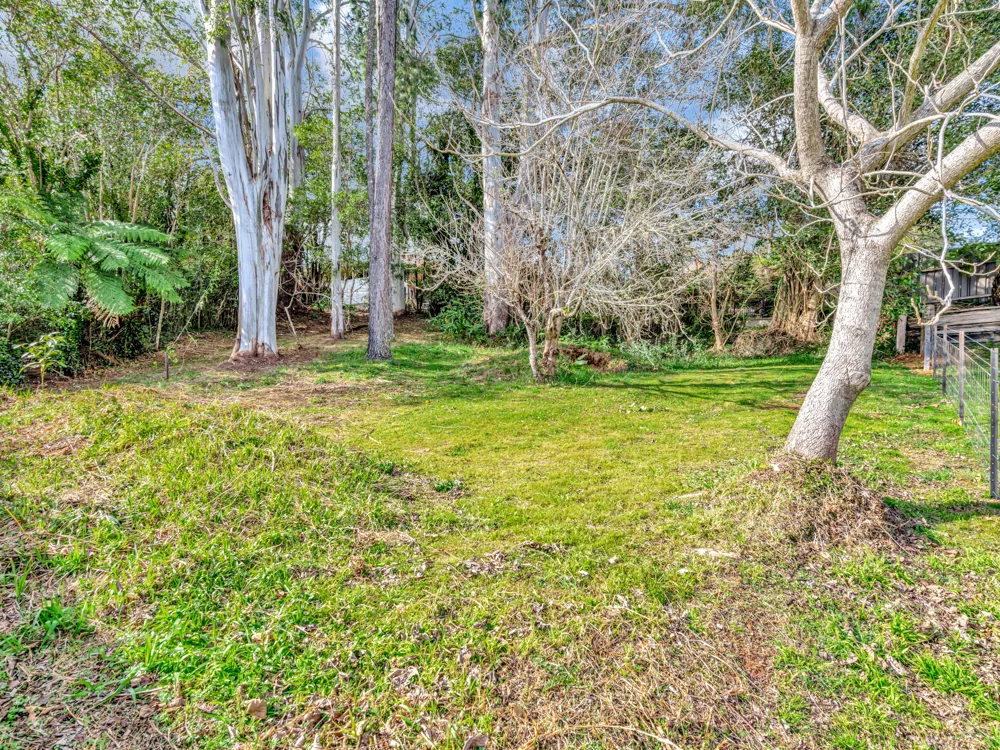 Additional image 16 of 25 Beech Street, Dorrigo NSW 2453