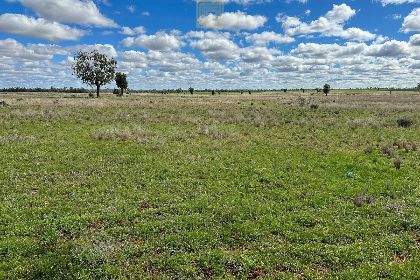 KOOREGAH STATION Yarrandale Road, Hermidale NSW 2831