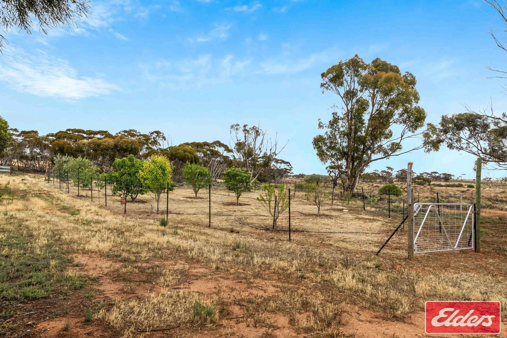 Additional image 17 of 106 Railway Terrace, Sutherlands SA 5374