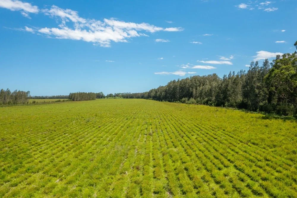 Additional image 3 of 1205 Maria River Road, Limeburners Creek NSW 2444