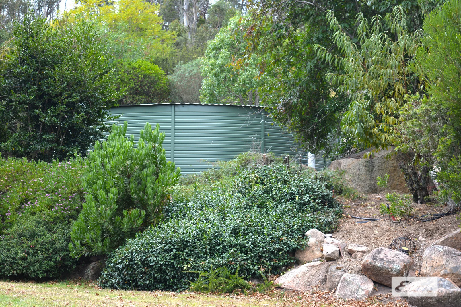 Additional image 30 of 186 McKechnie Road, Ruby Creek NSW 4380