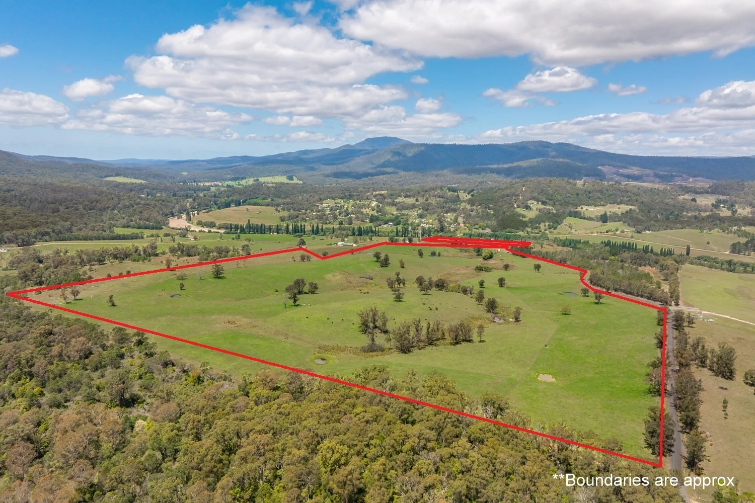 Additional image 32 of 2499 Towamba Rd, Towamba NSW 2550