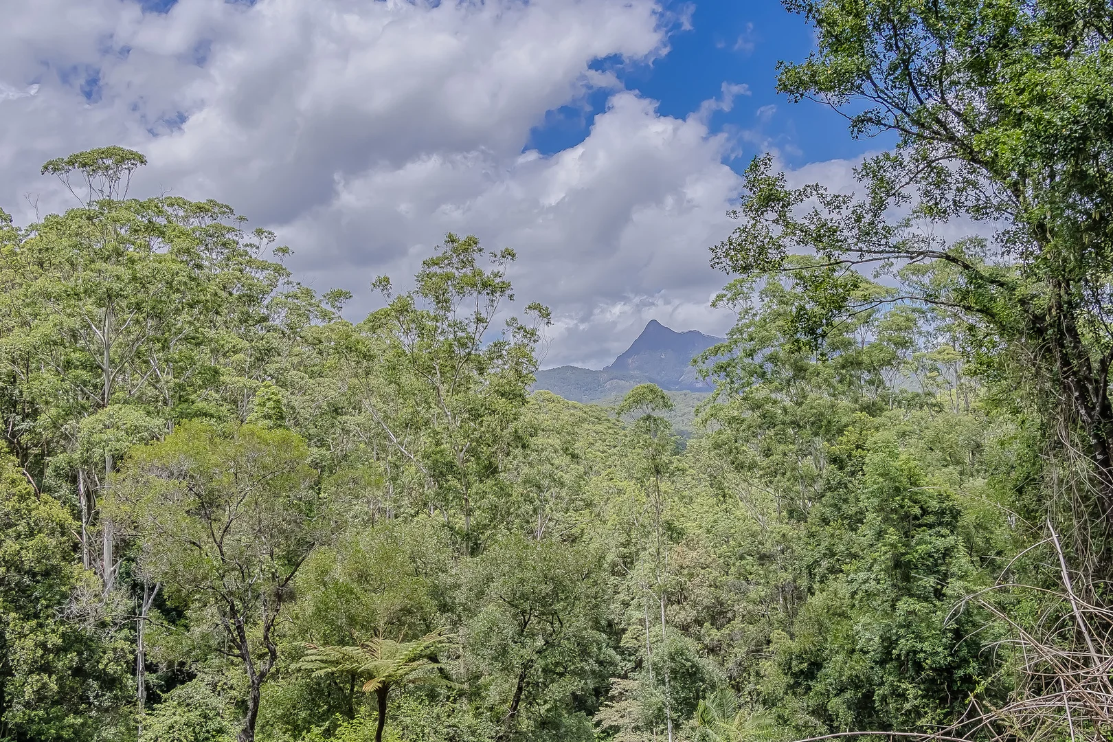 Additional image 19 of 270 Zara Road, Zara NSW 2484