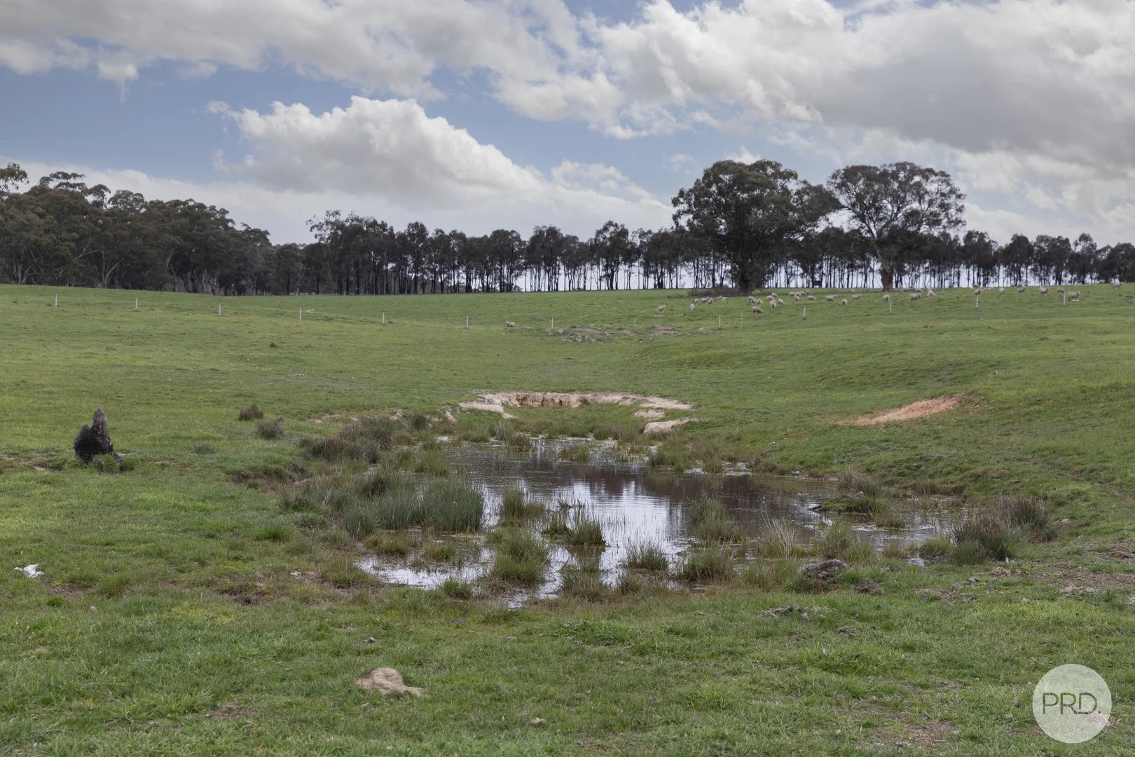 Additional image 8 of 203 Browns Road, Burnbank VIC 3371