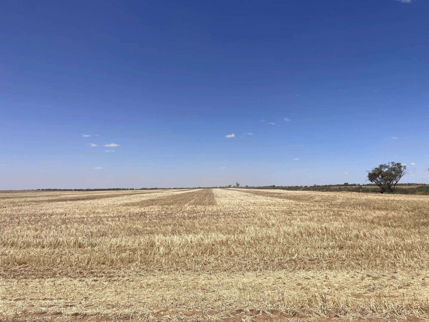 Additional image 19 of 'Anglea & Ryan Lots' 434 Robinvale-Sea Lake Road, Chinkapook VIC 3546