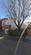 Additional image 7 of 1 Church Road, london N6